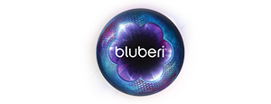 Bluberi gaming provider