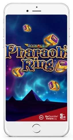 mobile smart phone slot