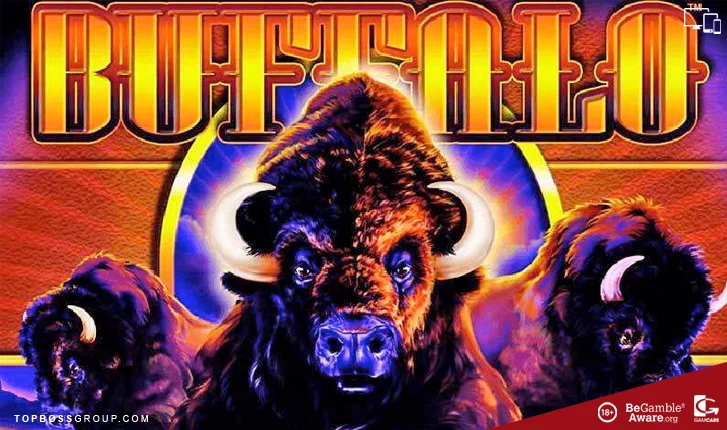 Buffalo Video Slots