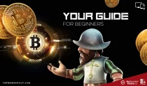 Bitcoin Casinos for Beginners guide