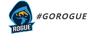 Rogue Gaming