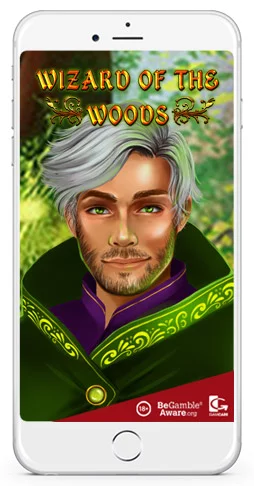 2BY2 Gaming wizard of the woods screen shot for mobile play