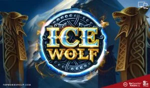 Ice Wolf slots by Elk Studios gaming