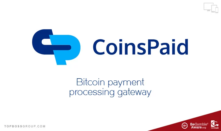 Coinspaid Payment Service - Article