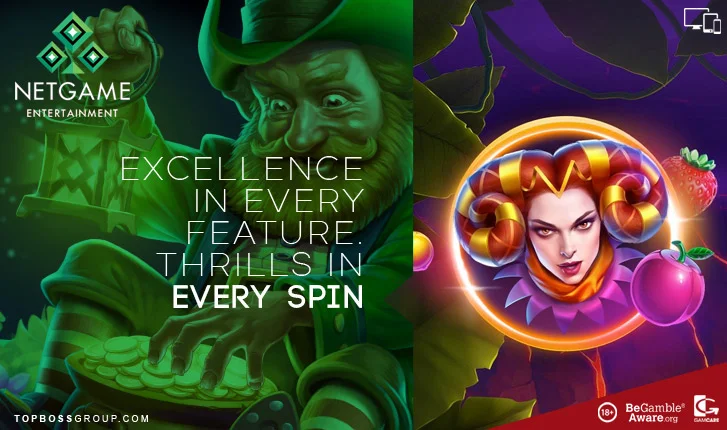NETGAME ENTERTAINMENT gaming software provider