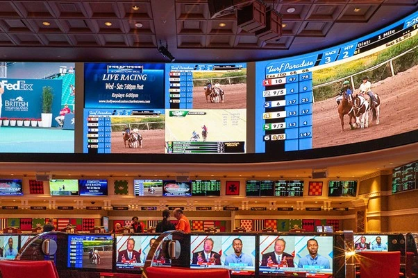 Best Sports to Bet On